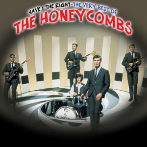 The Honeycombs - Have I the Right - Line Dance Musik