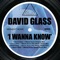 I Wanna Know (Phil Weeks Ghetto Mix) - David Glass lyrics