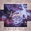 The World Without You - Single