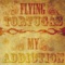 A Minor Problem - Flying Tortugas lyrics