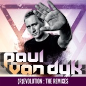 (R)Evolution: The Remixes artwork