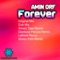 Forever (Simon Tijas Remix) - Amin Orf lyrics