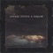 Awake Inside a Dream - Angels of Venice lyrics