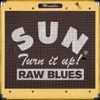 Sun Records - Turn It Up! Raw Blues, 2012