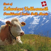 Best of Schweizer Volksmusik - Traditional Swiss Folk Music - Kompositionen von Marino Manferdini artwork