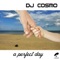 A Perfect Day - DJ Cosmo lyrics