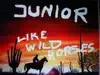 Like Wild Horses - Single album lyrics, reviews, download
