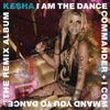 I Am the Dance Commander + I Command You to Dance: The Remix Album artwork