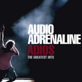 Adios - The Greatest Hits artwork