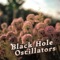 Jump Your Bones (Acoustic) - Black Hole Oscillators lyrics