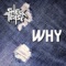 Why - She's a Tease lyrics