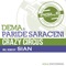 Panic - Dema & Paride Saraceni lyrics