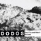 Don't Try and Hide It (feat. Neko Case) - The Dodos lyrics