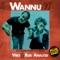 WannuB - Viro & Rob Analyze lyrics