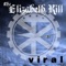 Viral - The Elizabeth Kill lyrics