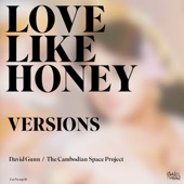Cambodian Space Project - Love Like Krom