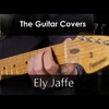 The Guitar Covers