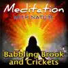 Babbling Brook and Crickets album lyrics, reviews, download