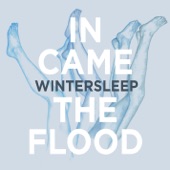 Wintersleep - In Came The Flood