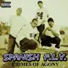 Crimes Of Agony (Explicit Version) album lyrics, reviews, download