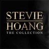 Stevie Hoang: The Collection, 2013