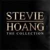 Stevie Hoang: The Collection