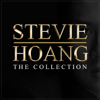 Stevie Hoang: The Collection - Stevie Hoang