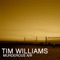 Murderous Air - Tim Williams lyrics