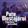 Patarouva Ja Ässähai (Single Edit) - Single