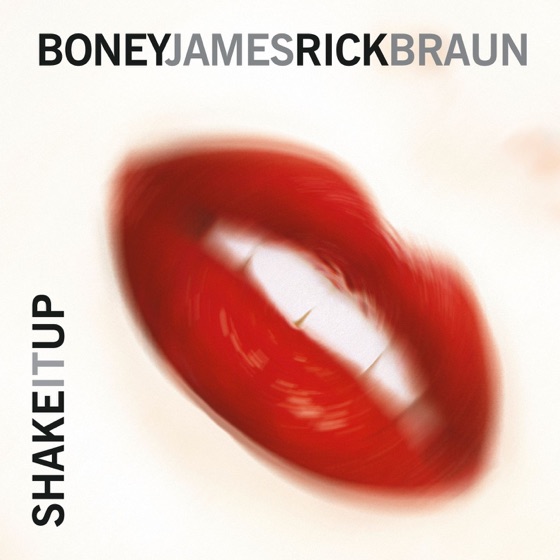 Cover artwork for Shake It Up