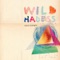 L.A.X. - Wild Hadess lyrics