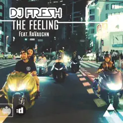 The Feeling (feat. RaVaughn) - DJ Fresh