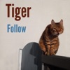 Follow - Single