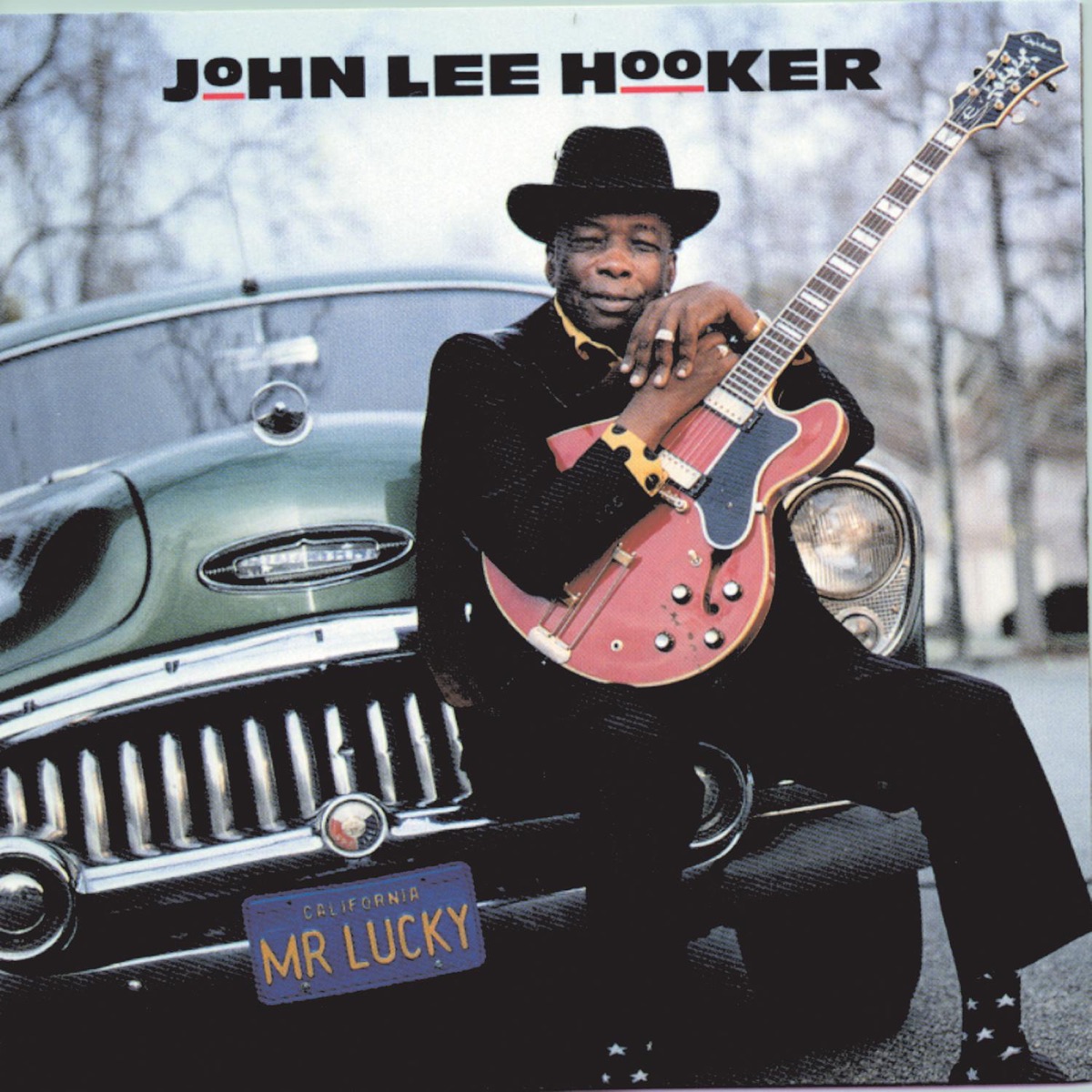 The Healer by John Lee Hooker on Apple Music