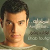 Ehab Toufic - ضحيت