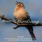 Birdsong - Wren lyrics