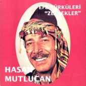 Şu Dalma'dan Geçtin mi (Yörük Ali Efe) artwork