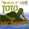 Best of Toto Necessite