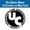 A Better Day - DJ Bam Bam lyrics