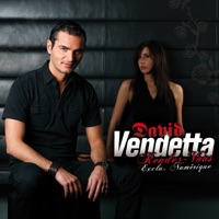 David Vendetta & Rachel Starr - Bleeding Heart