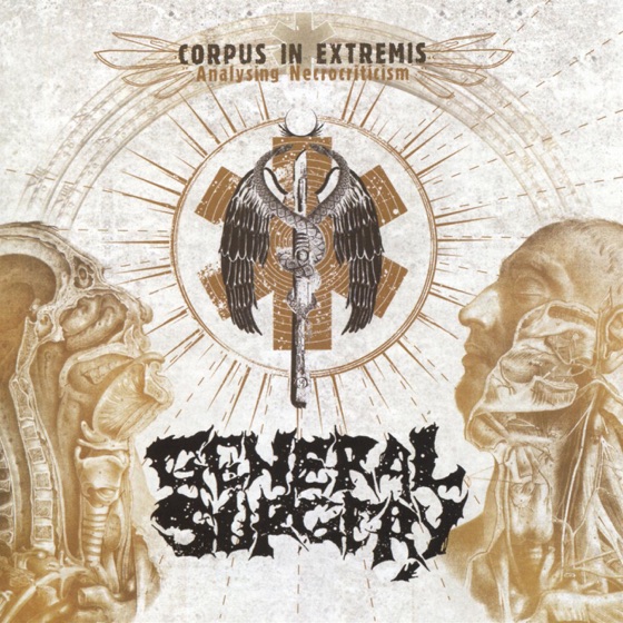 Cover artwork for Final Excarnation