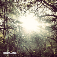 Kodaline - All I Want artwork
