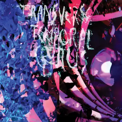 Transverse Temporal Gyrus - EP - Animal Collective