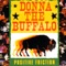 Man of Constant Sorrow - Donna the Buffalo lyrics