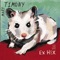 On the Floor - Mary Timony lyrics