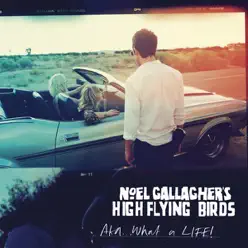 AKA... What a Life! - Single - Noel Gallagher's High Flying Birds AKA... What a Life! - Single - Noel Gallagher's High Flying Birds