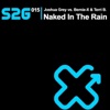 Naked in the Rain 2009 (Joshua Grey vs. Bernie-X) [Remixes]