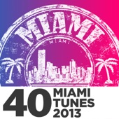 40 Miami Tunes 2013 artwork