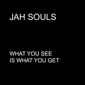 What You See Is What You Get (feat. Wailing Souls & Andrew Tosh) - Jah Souls