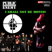 I Shall Not Be Moved artwork